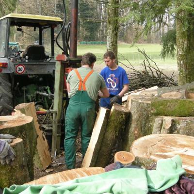 Holz spalten im Wald