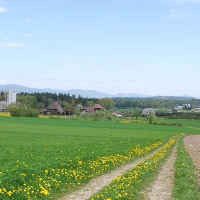 Längmatt von Thunstetten, rechts die ersten Häuser von Langenthal